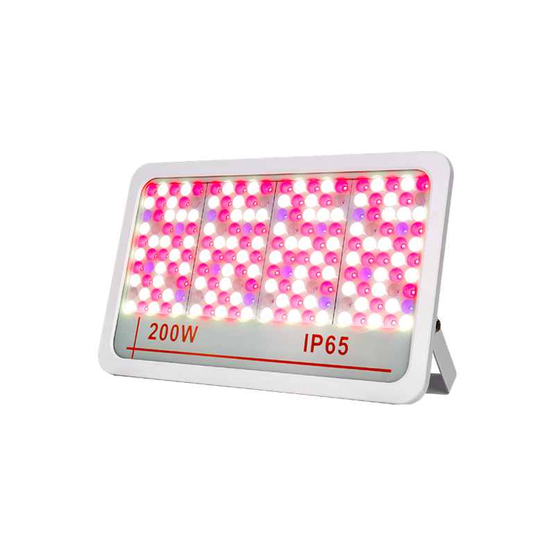 چراغ سیل LED