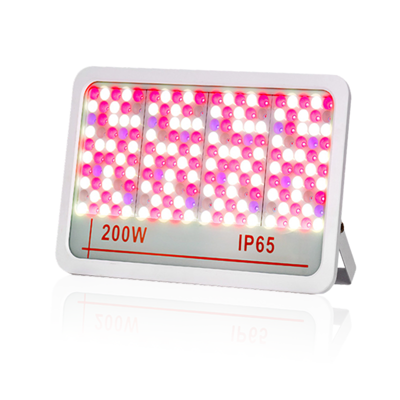 چراغ سیل LED