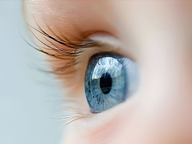 Xin Guang Yuan (چراغ های جدید) شرکت فناوری روشنایی ، آموزشی ویبولیتین.