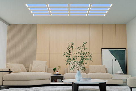 Xin Guang Yuan (چراغ های جدید) شرکت فناوری روشنایی ، آموزشی ویبولیتین.